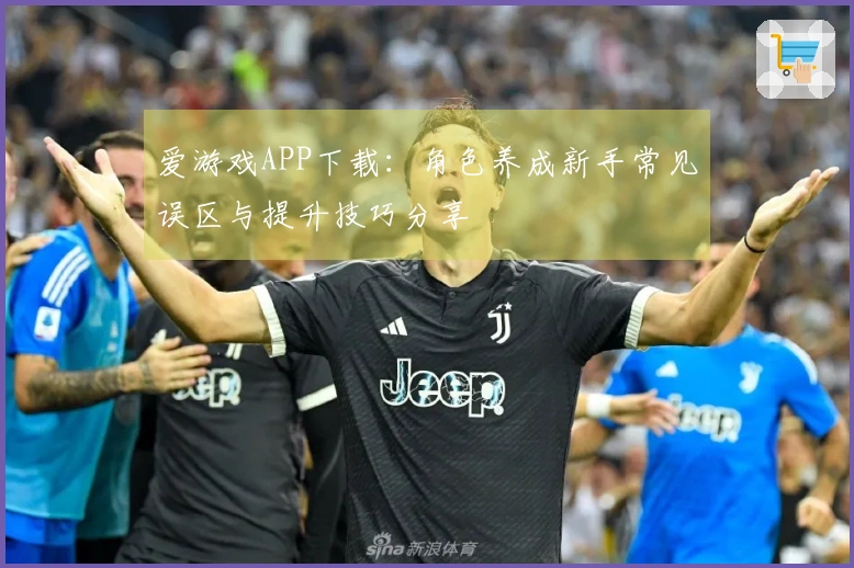 爱游戏APP下载：角色养成新手常见误区与提升技巧分享
